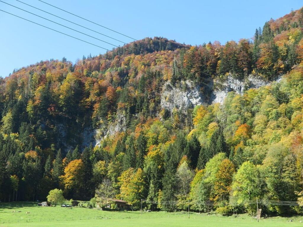 Nagelsmederij In Het Huis Waldwinkel اسخو ام شيمغاو المظهر الخارجي الصورة