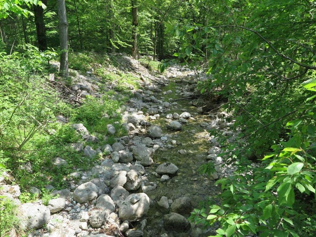 Nagelsmederij In Het Huis Waldwinkel اسخو ام شيمغاو المظهر الخارجي الصورة